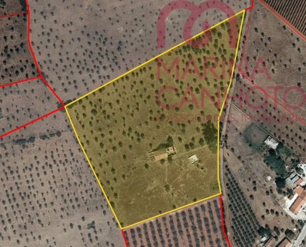 Quinta T3 para Venda em Borba (Matriz) Foto 10