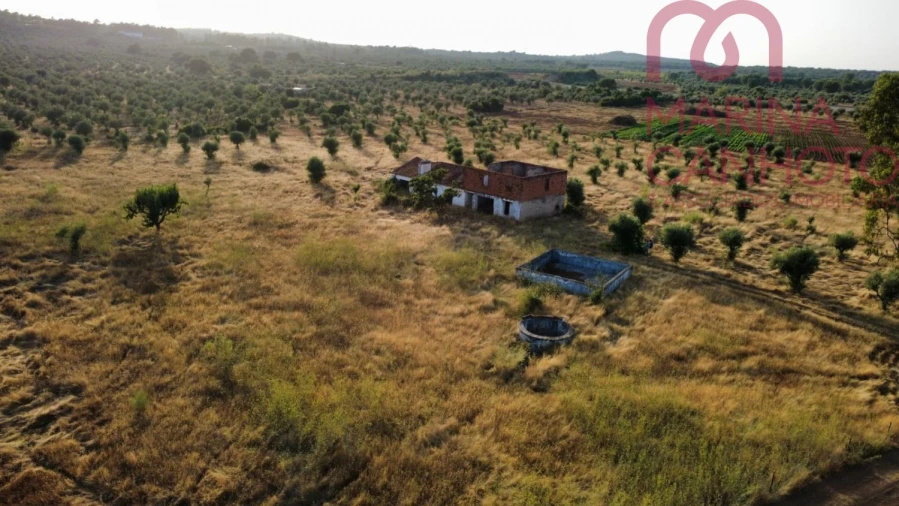 Quinta T3 para Venda em Borba (Matriz) Foto 9