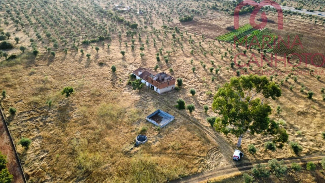 Quinta T3 para Venda em Borba (Matriz) Foto 2