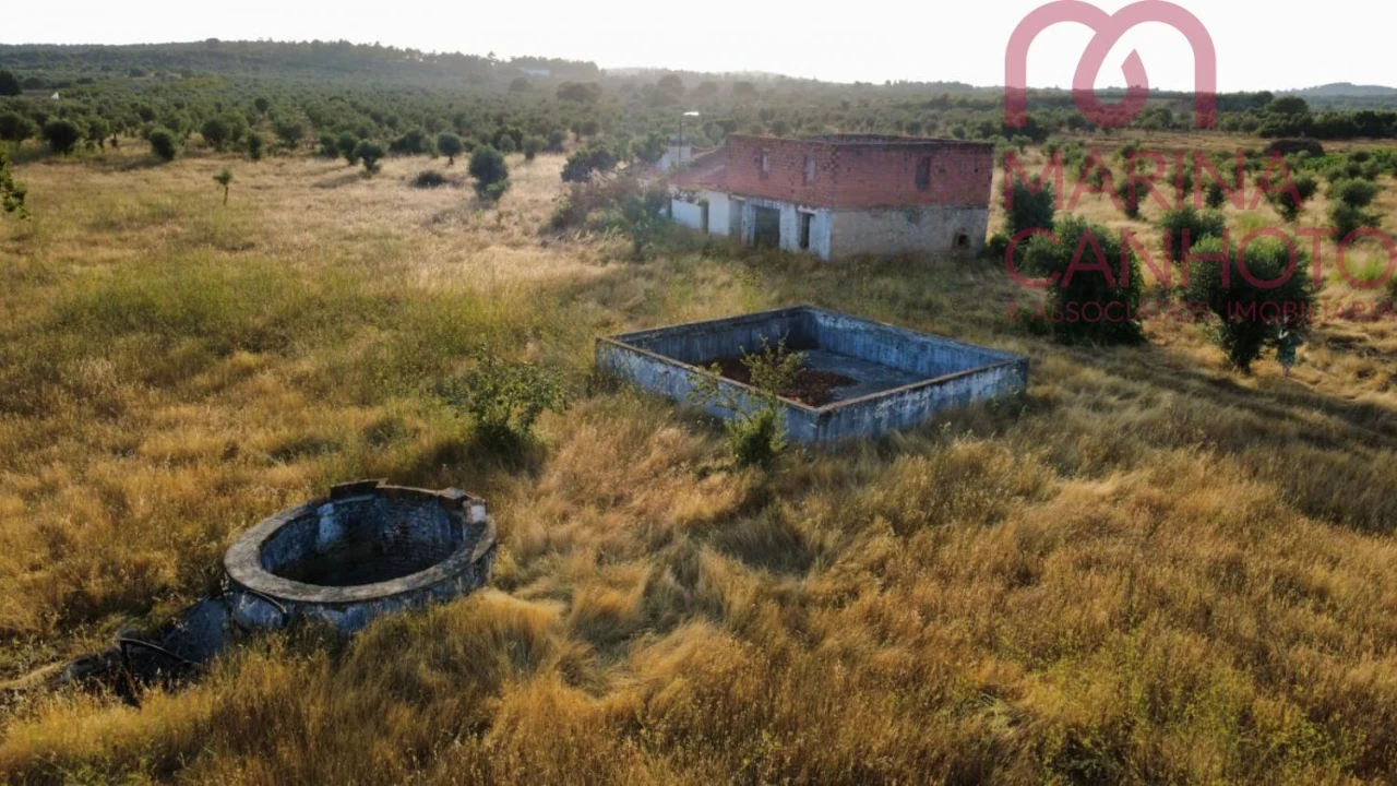 Quinta T3 para Venda em Borba (Matriz) Foto 7