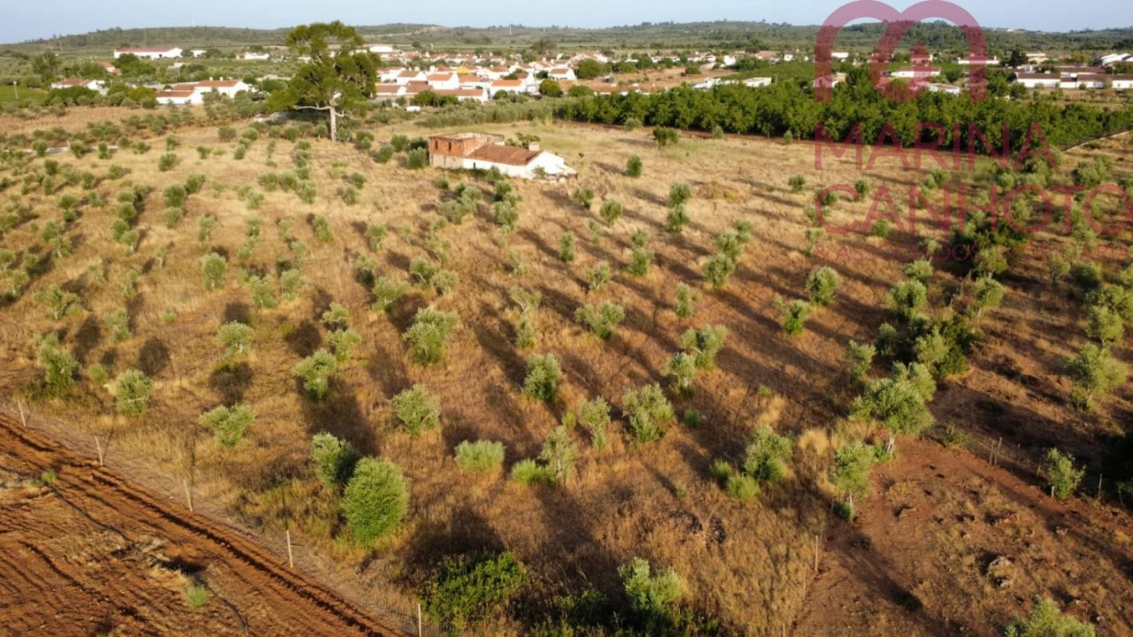 Quinta T3 para Venda em Borba (Matriz) Foto 5