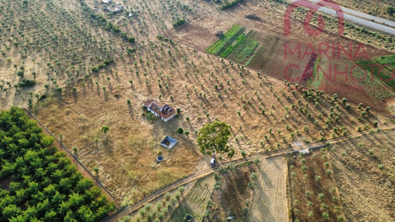 Quinta T3 para Venda em Borba (Matriz) Foto 3