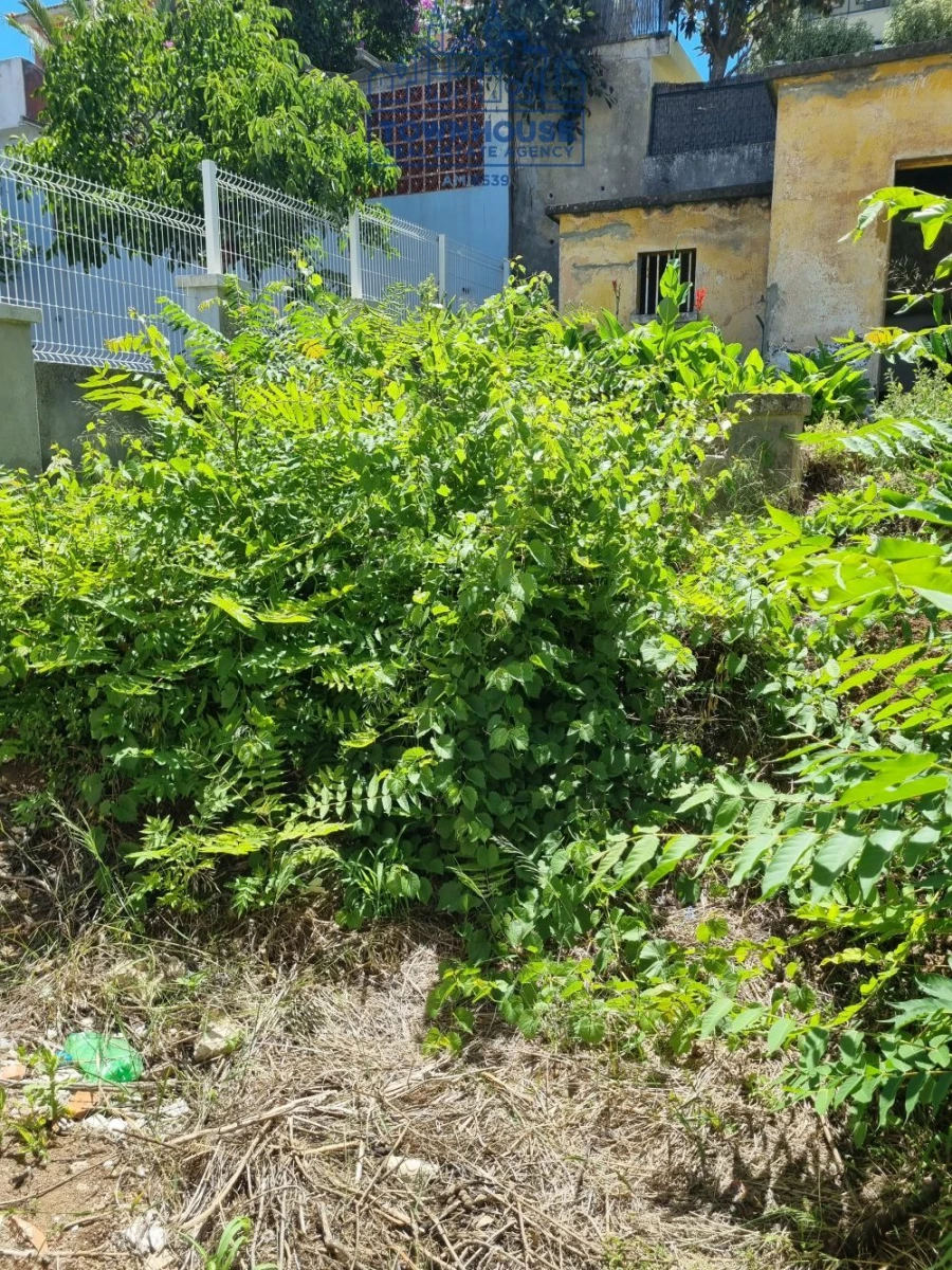 Moradia T4 para Venda em Campolide Foto 30