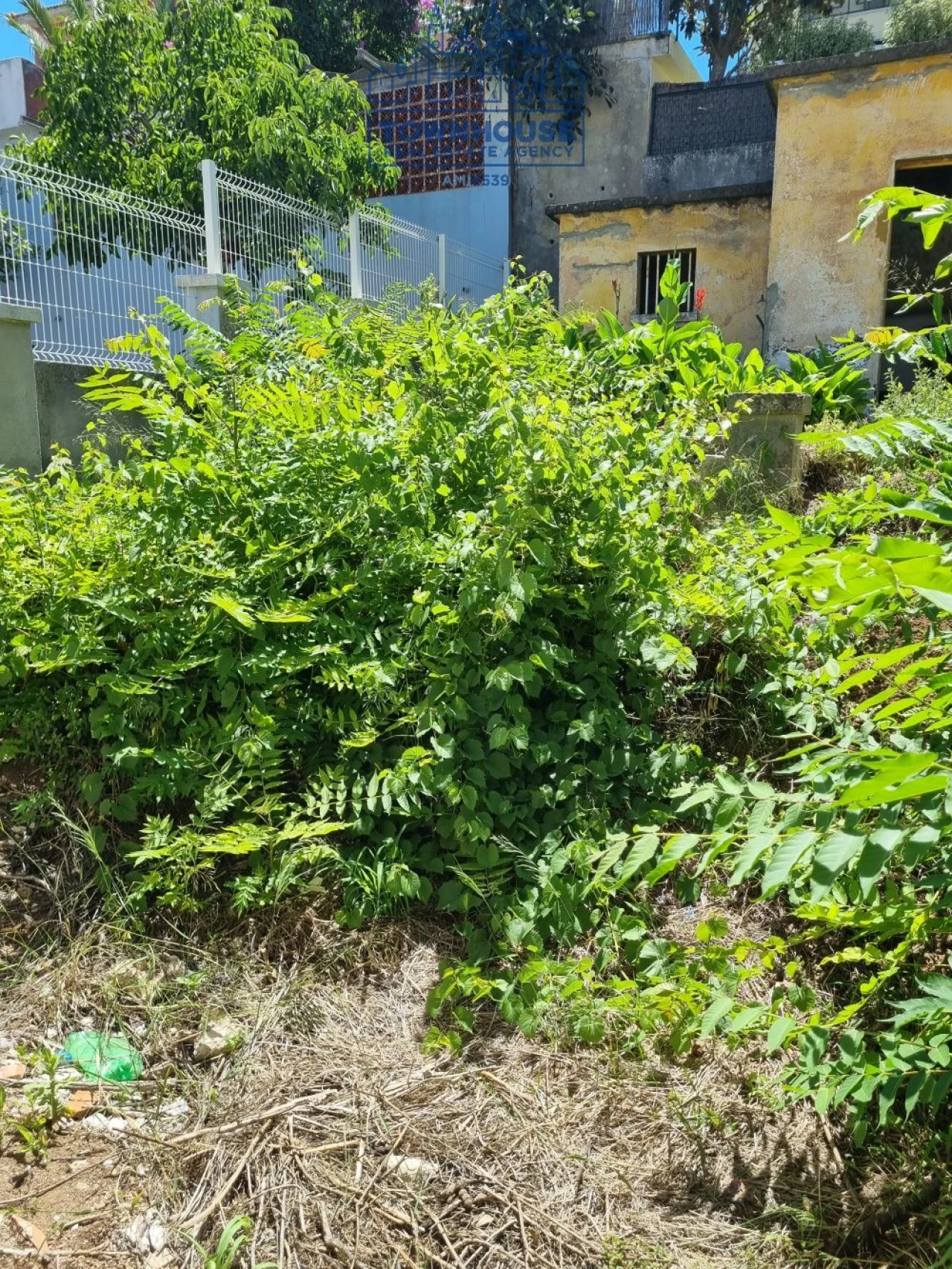 Moradia T4 para Venda em Campolide Foto 30