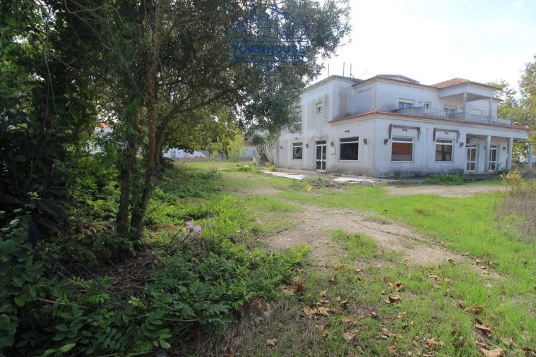 Loja para Venda em Sesimbra (Castelo) Foto 11