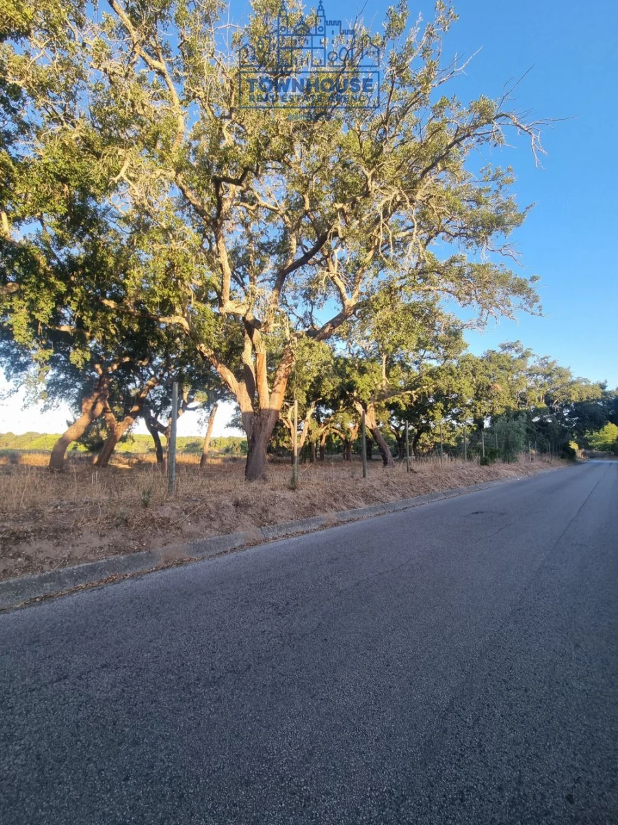 Moradia T4 para Venda em Azeitão (São Lourenço e São Simão) Foto 53