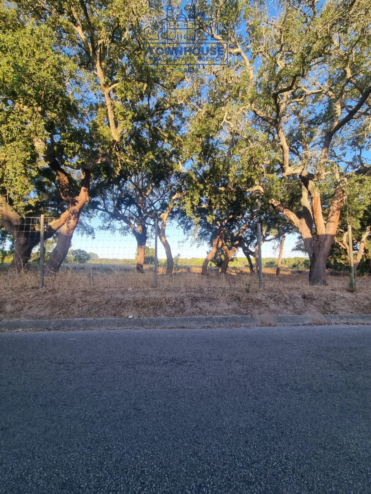 Moradia T4 para Venda em Azeitão (São Lourenço e São Simão) Foto 52