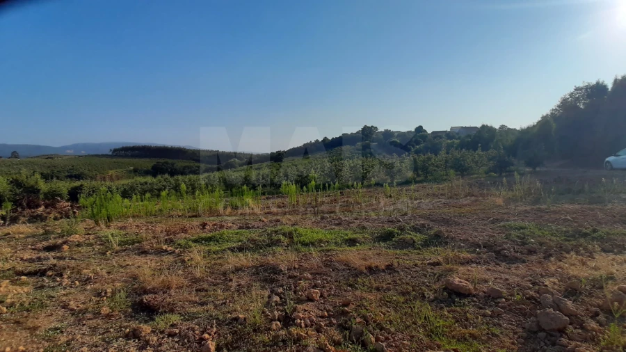 Terreno para Venda em Peral Foto 7