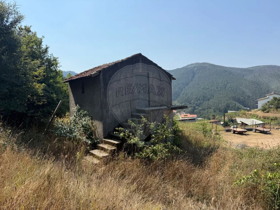 Terreno para Venda em São Pedro de Castelões Foto 4