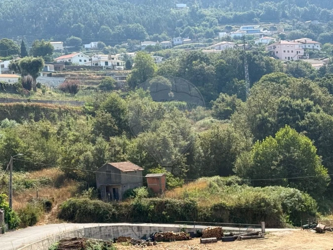 Terreno para Venda em São Pedro de Castelões Foto 2