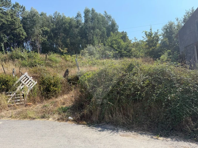 Terreno para Venda em São Pedro de Castelões Foto 8