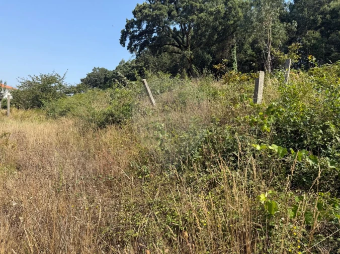 Terreno para Venda em São Pedro de Castelões Foto 9