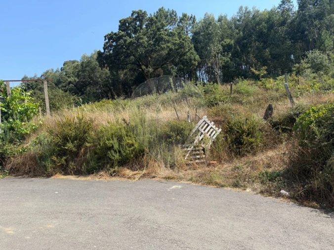 Terreno para Venda em São Pedro de Castelões Foto 7