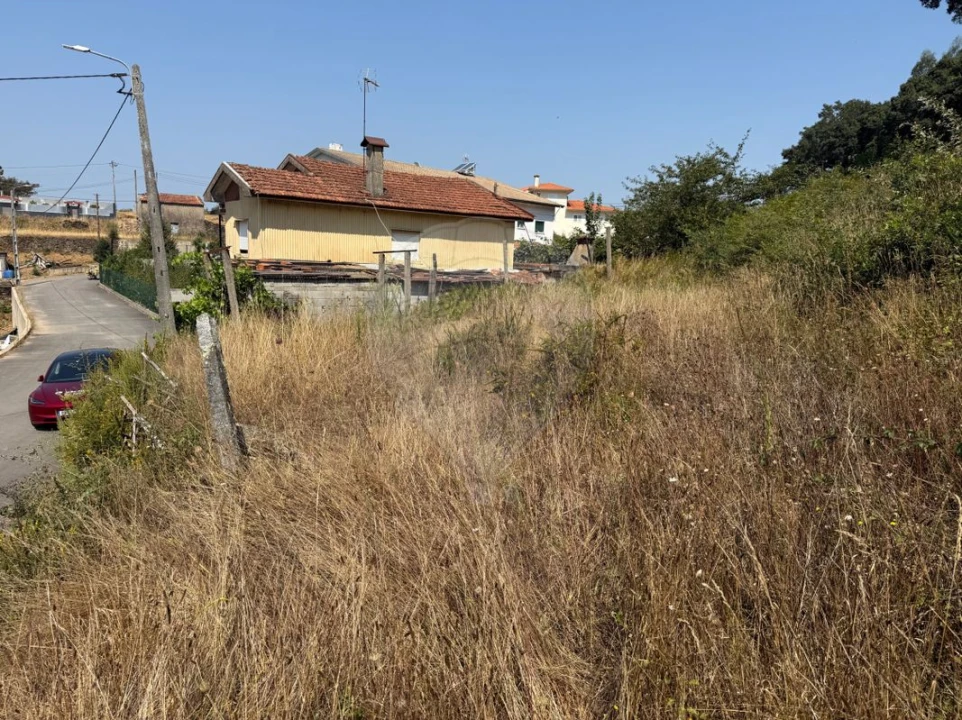 Terreno para Venda em São Pedro de Castelões Foto 5