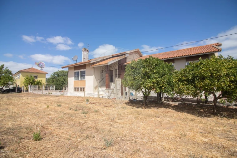 Quinta T7 para Venda em Alenquer (Santo Estêvão e Triana) Foto 7