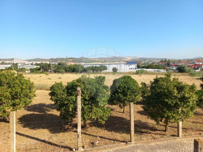 Quinta T7 para Venda em Alenquer (Santo Estêvão e Triana) Foto 45
