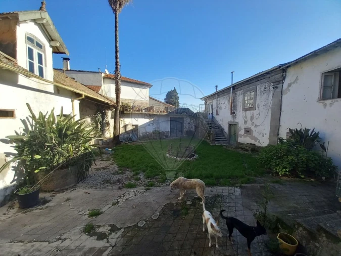 Quinta T7 para Venda em Povolide Foto 40