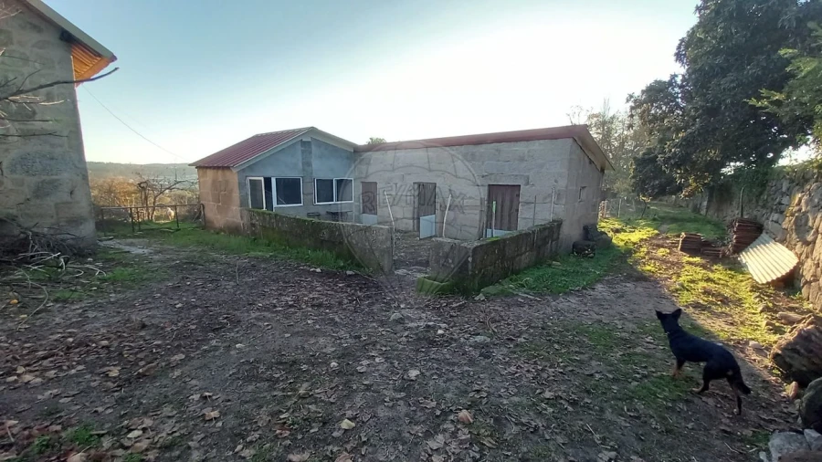 Quinta T7 para Venda em Povolide Foto 8