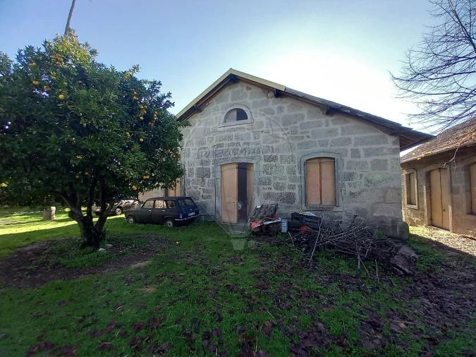 Quinta T7 para Venda em Povolide Foto 42