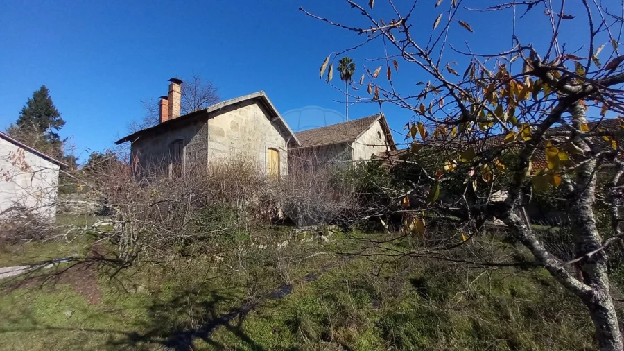 Quinta T7 para Venda em Povolide Foto 41