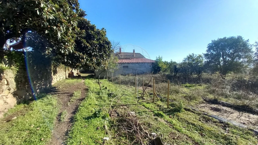 Quinta T7 para Venda em Povolide Foto 9