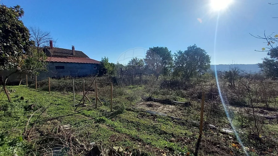 Quinta T7 para Venda em Povolide Foto 35