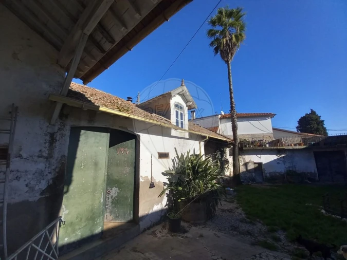 Quinta T7 para Venda em Povolide Foto 43