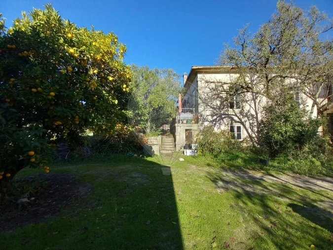 Quinta T7 para Venda em Povolide Foto 6