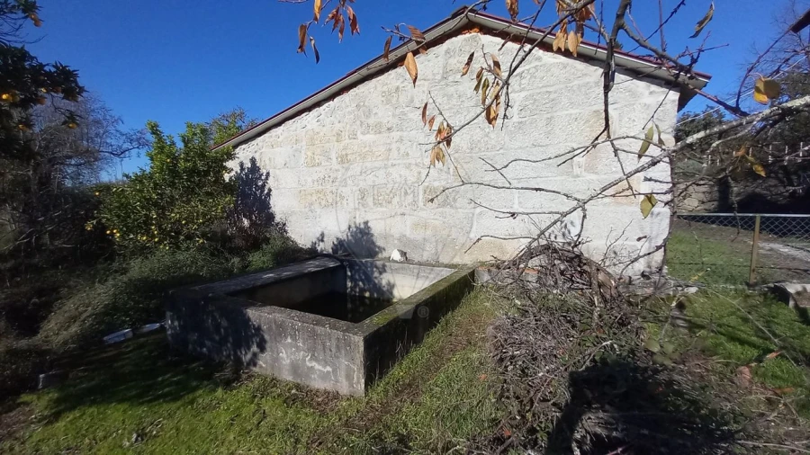 Quinta T7 para Venda em Povolide Foto 34