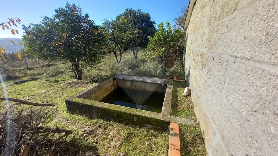 Quinta T7 para Venda em Povolide Foto 36