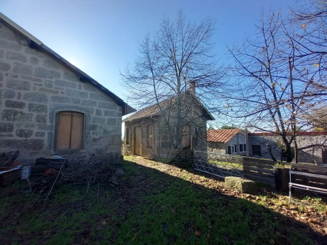 Quinta T7 para Venda em Povolide Foto 44