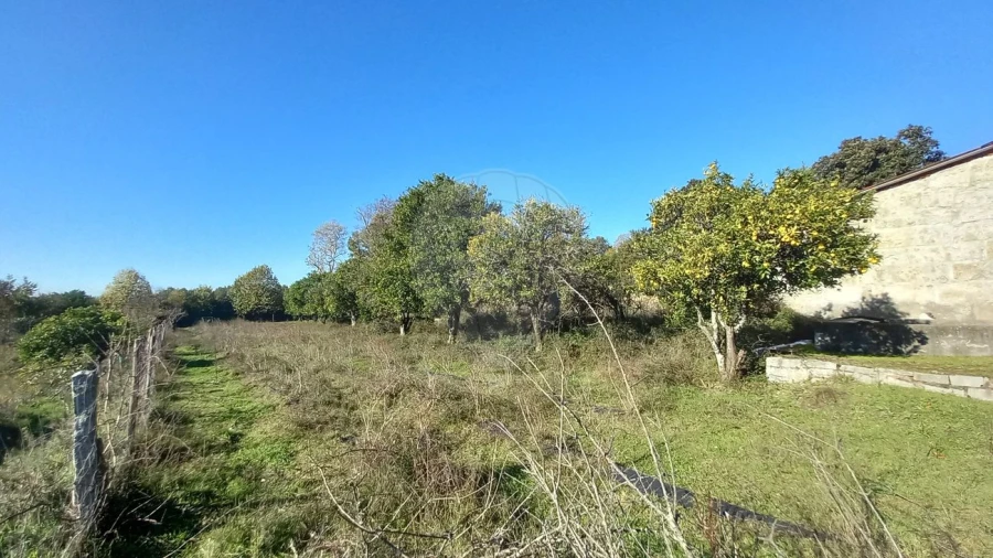 Quinta T7 para Venda em Povolide Foto 31