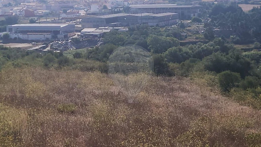 Terreno para Venda em Almargem do Bispo, Pêro Pinheiro e Montelavar Foto 2