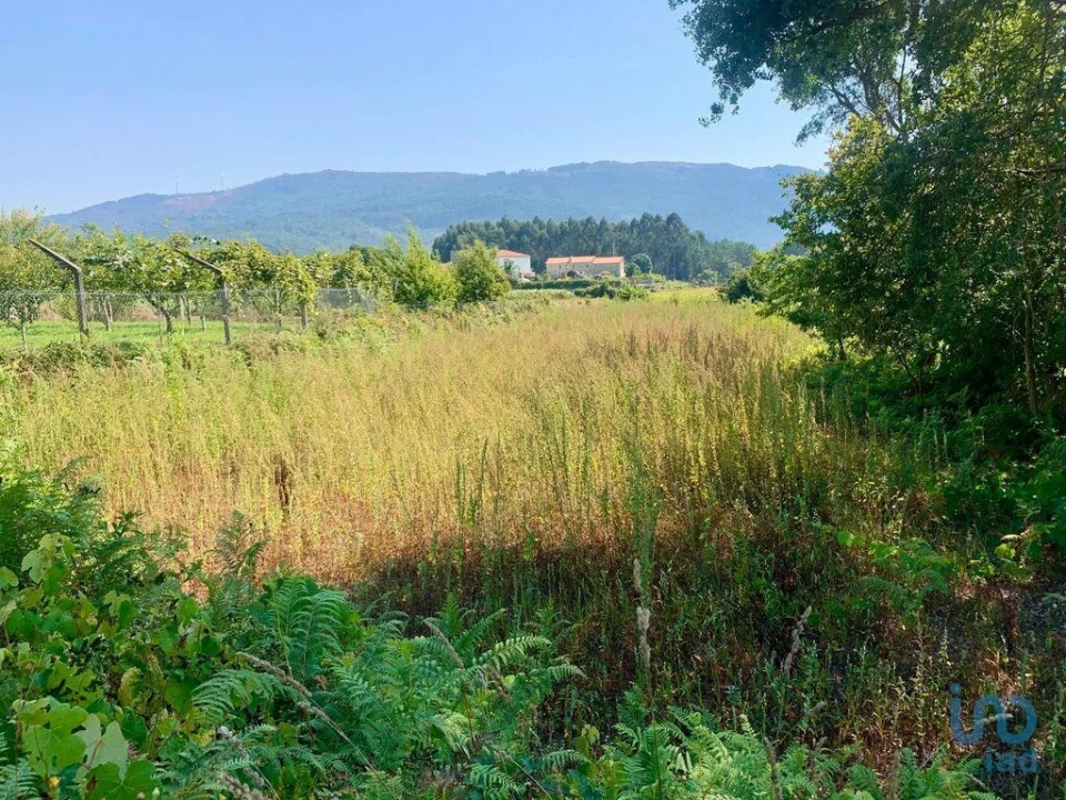 Terreno para Venda em Riba de Ancora Foto 4