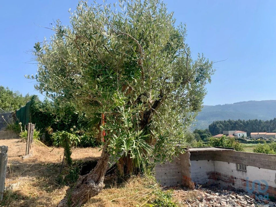 Terreno para Venda em Riba de Ancora Foto 10