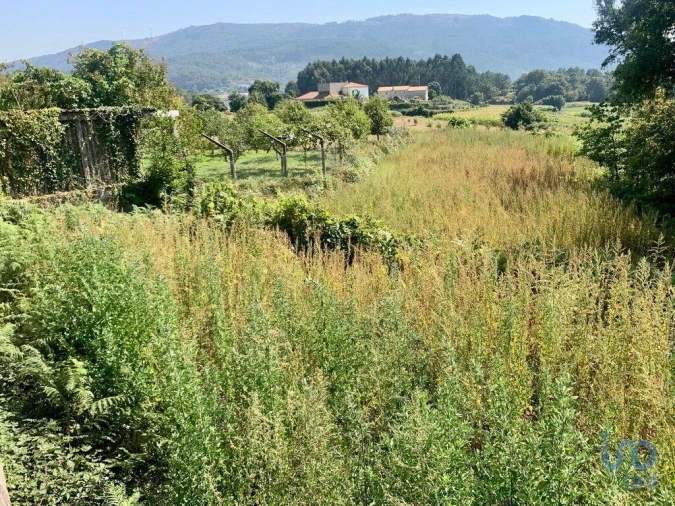 Terreno para Venda em Riba de Ancora Foto 5