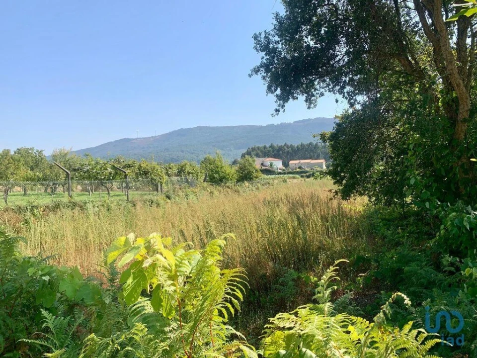 Terreno para Venda em Riba de Ancora Foto 1