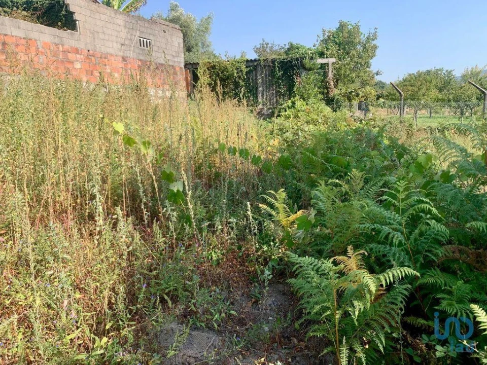 Terreno para Venda em Riba de Ancora Foto 3
