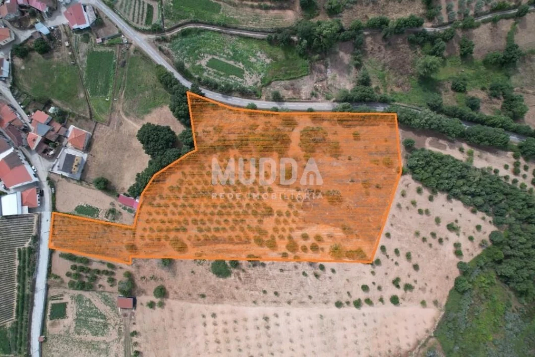 Terreno para Venda em Coelhoso Foto 10