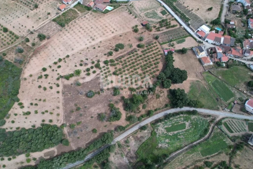 Terreno para Venda em Coelhoso Foto 5