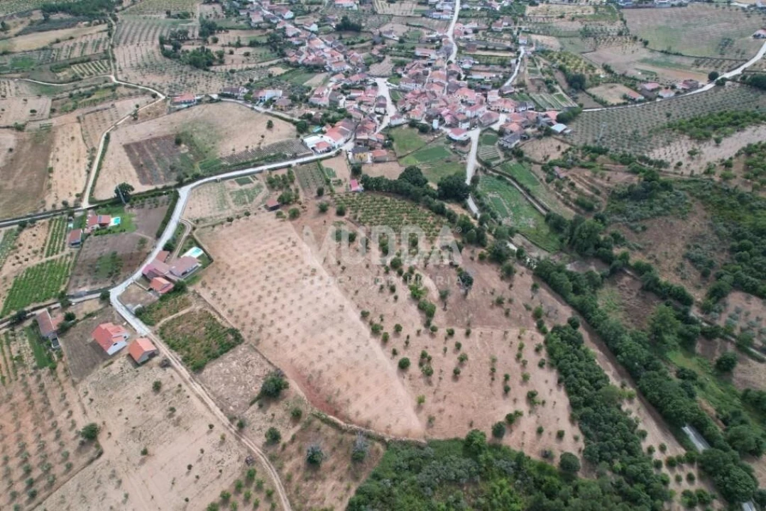 Terreno para Venda em Coelhoso Foto 7
