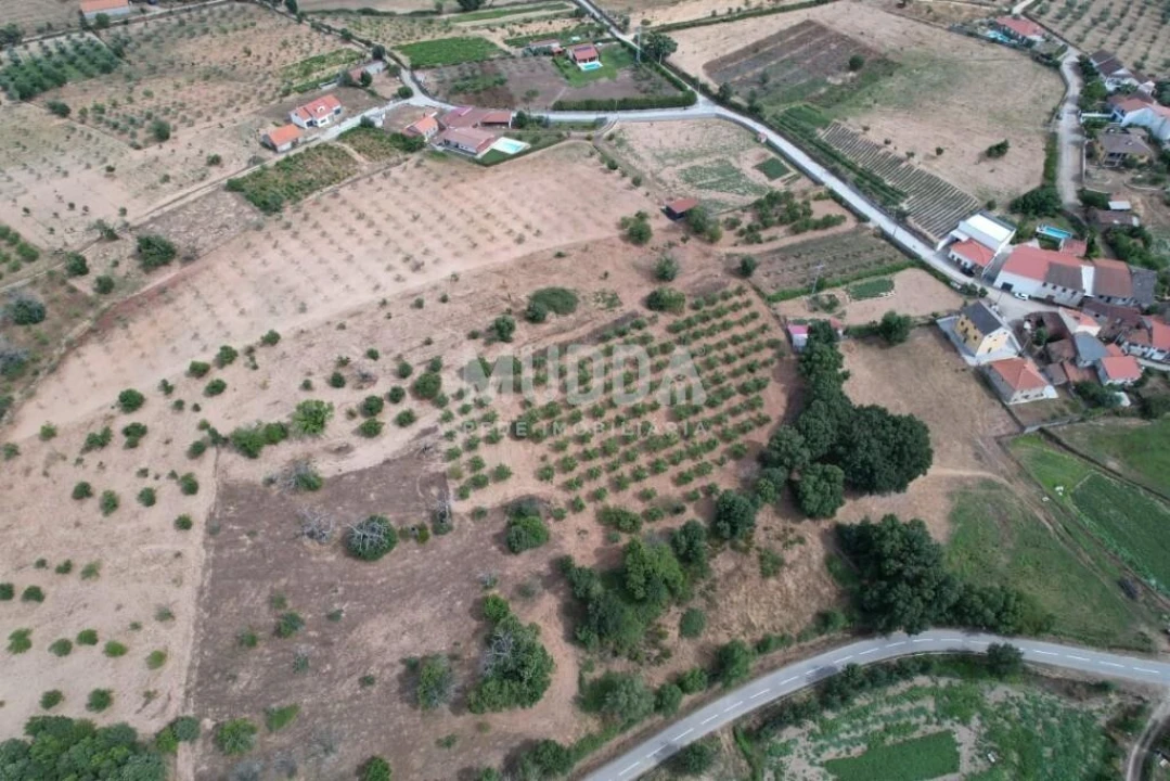 Terreno para Venda em Coelhoso Foto 8