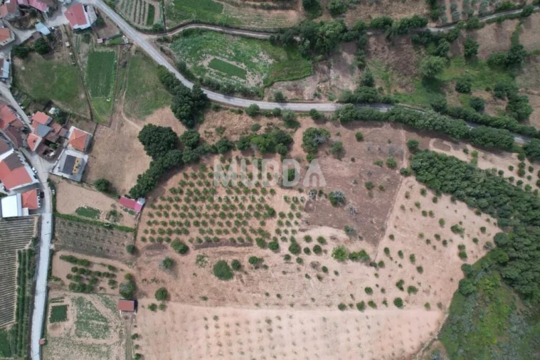 Terreno para Venda em Coelhoso Foto 4
