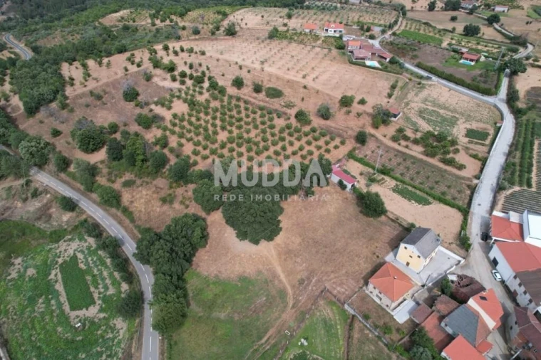 Terreno para Venda em Coelhoso Foto 6