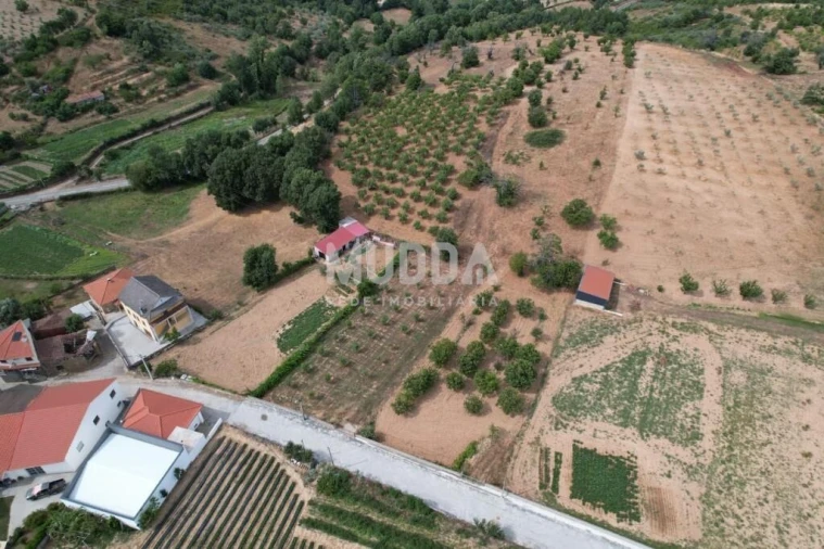 Terreno para Venda em Coelhoso Foto 9