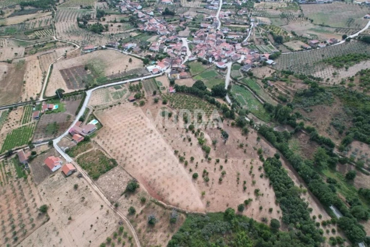 Terreno para Venda em Coelhoso Foto 7