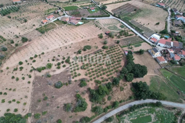 Terreno para Venda em Coelhoso Foto 8