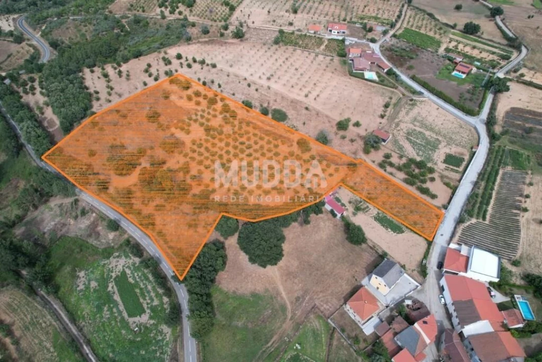 Terreno para Venda em Coelhoso Foto 1