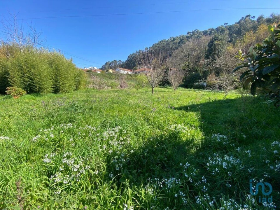 Moradia T5 para Venda em Vila Nova de Cerveira e Lovelhe Foto 9