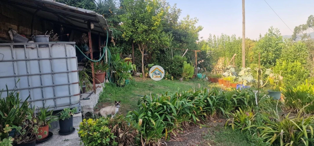 Moradia T3 para Venda em Meinedo Foto 11